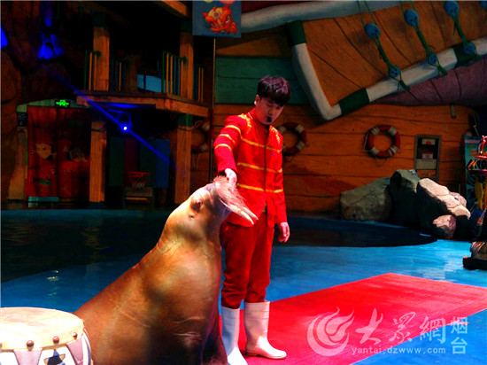 烟台：驯养师与海狮伙伴“贝克”的故事