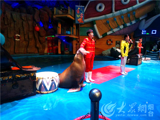 烟台：驯养师与海狮伙伴“贝克”的故事