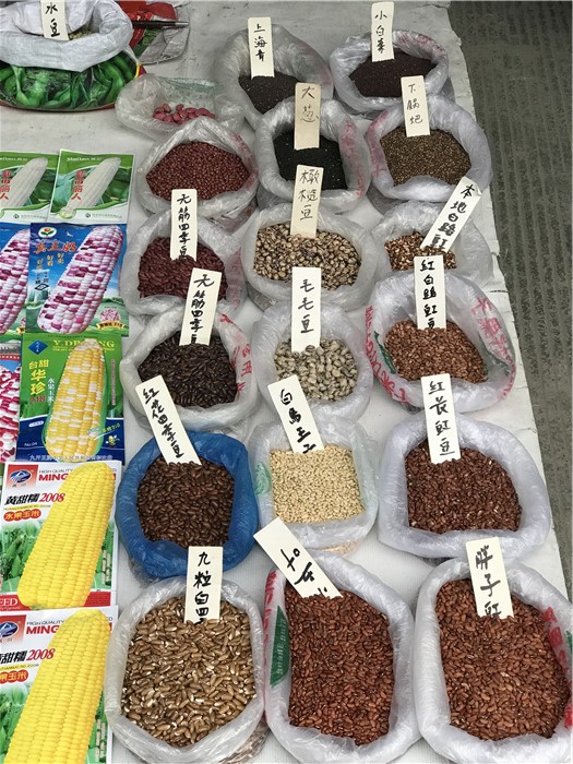 乱逛|曾经我总是跟着大人赶犀浦