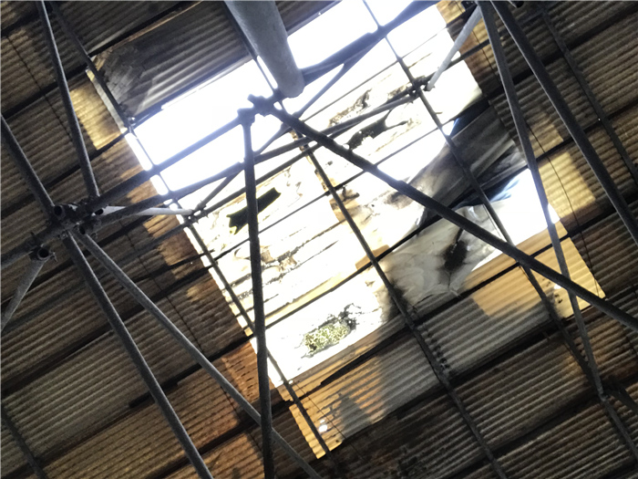 乱逛|曾经我总是跟着大人赶犀浦