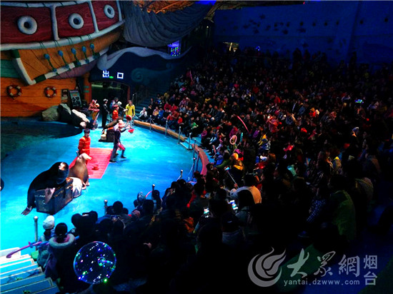 烟台：驯养师与海狮伙伴“贝克”的故事