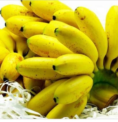 甯︾潃鐗涢瓟鐜嬬湅鏄熸槦,甯︾潃鐗涢瓟鐜嬪嚭鏉ョ湅涓婂笣