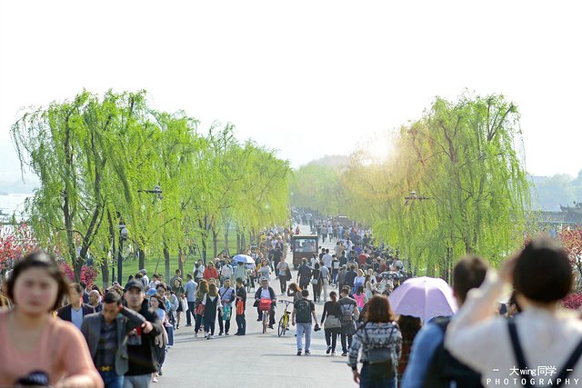 璇楁剰鏉窞瑗挎箹,璇楁剰姹熷崡姊﹂噷姘翠埂