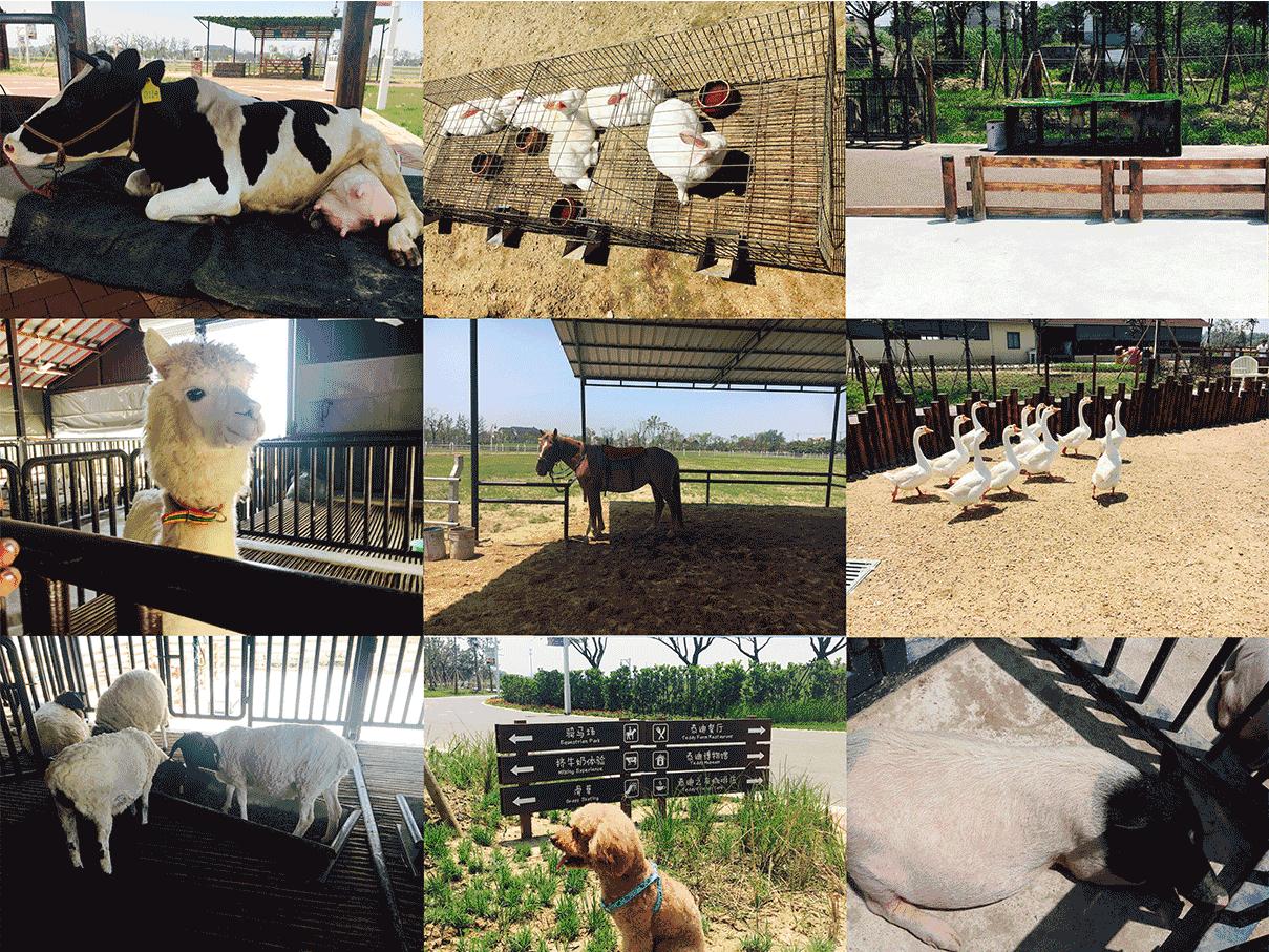 五一带孩子玩的苏州游乐场,苏州儿童能够玩的游乐项目