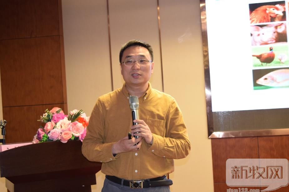 精准营养与多组学,湖南百宜饲料帝斯曼