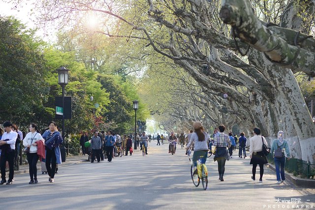 璇楁剰鏉窞瑗挎箹,璇楁剰姹熷崡姊﹂噷姘翠埂