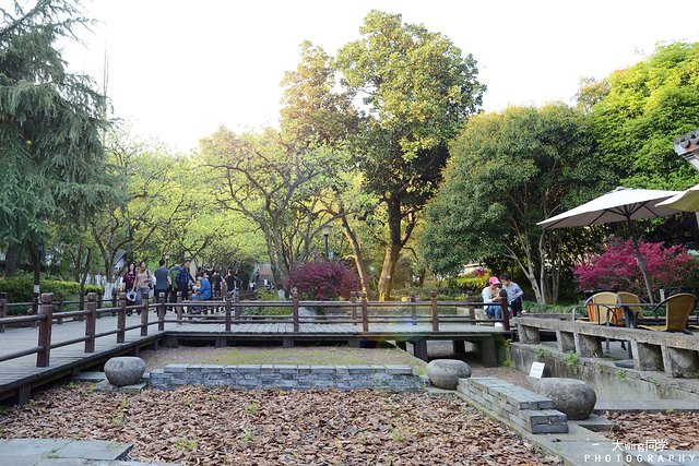 璇楁剰鏉窞瑗挎箹,璇楁剰姹熷崡姊﹂噷姘翠埂