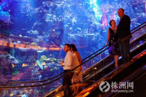 阿联酋迪拜有多豪华,迪拜真实的奢侈生活