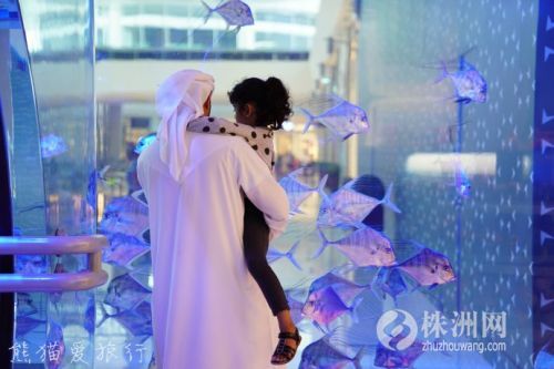 阿联酋迪拜有多豪华,迪拜真实的奢侈生活