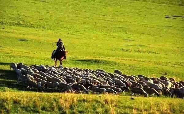 大武口呼伦贝尔风情园烤全羊团购,呼伦贝尔旅游必吃的十大特色美食