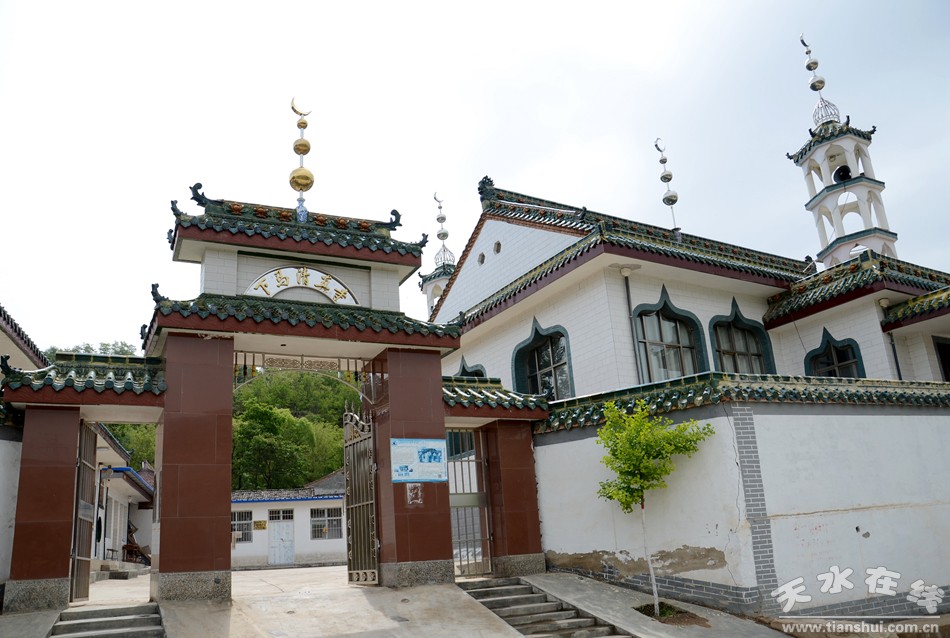 天水市麦积区最美村庄,天水市最美乡村谢沟村