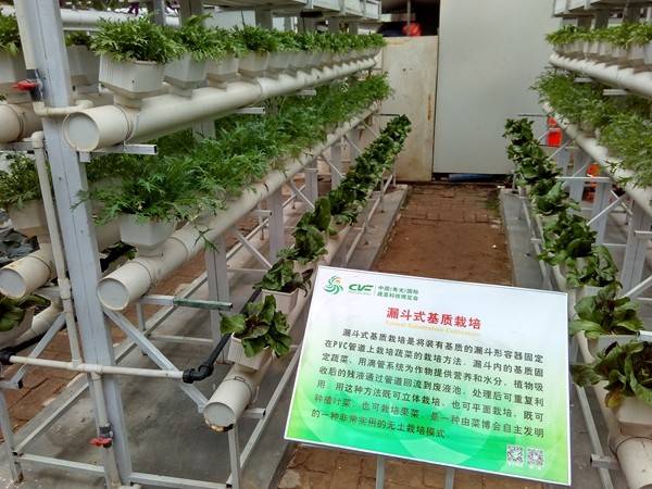 带上小蚁运动相机游潍坊（三）寿光菜博会