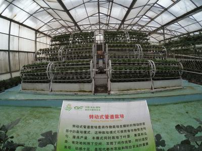 带上小蚁运动相机游潍坊（三）寿光菜博会