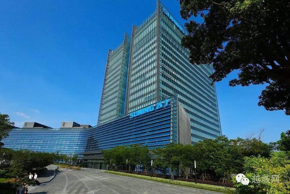 越域专访苏宁全球购：线上布局+线下突围应对新政