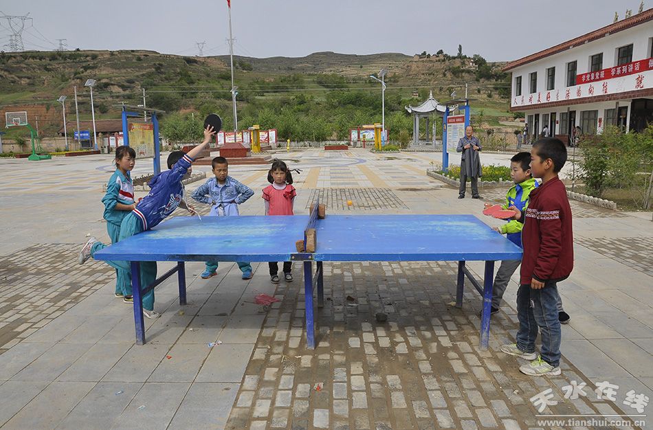 天水市麦积区最美村庄,天水市最美乡村谢沟村
