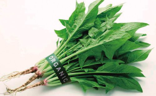 最合适宝宝吃的十大蔬菜排行,宝宝营养好吸收的蔬菜