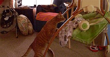 一岁多宝宝缺微量元素的表现,孩子缺微量元素有哪些症状