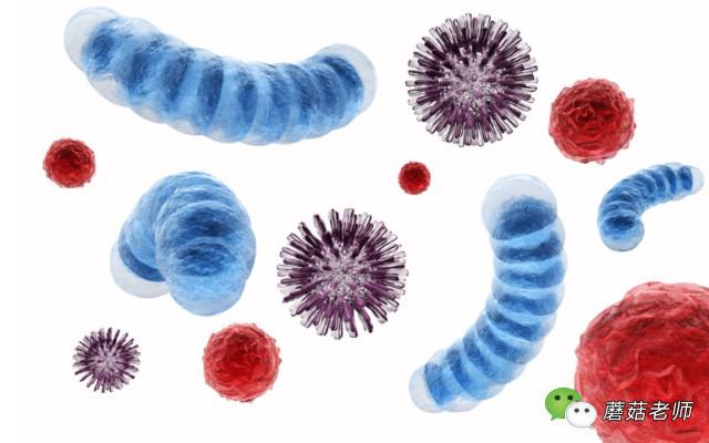 婆婆感冒让避着宝宝,婆婆感冒了非要孩子