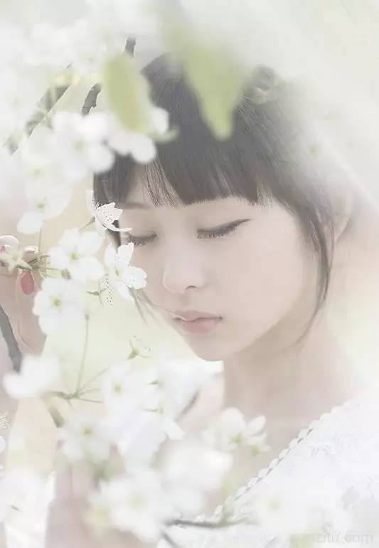 三十秒让你认识四川,三十秒让你认识福建