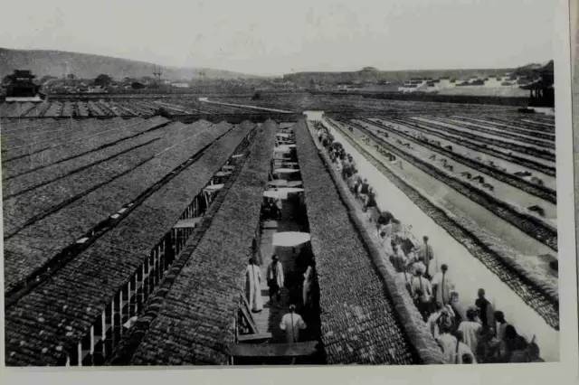 魏英杰：这三位考生改变了晚清命运