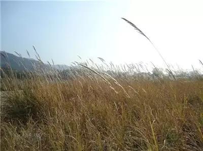 最美我家乡,最美我家乡原唱