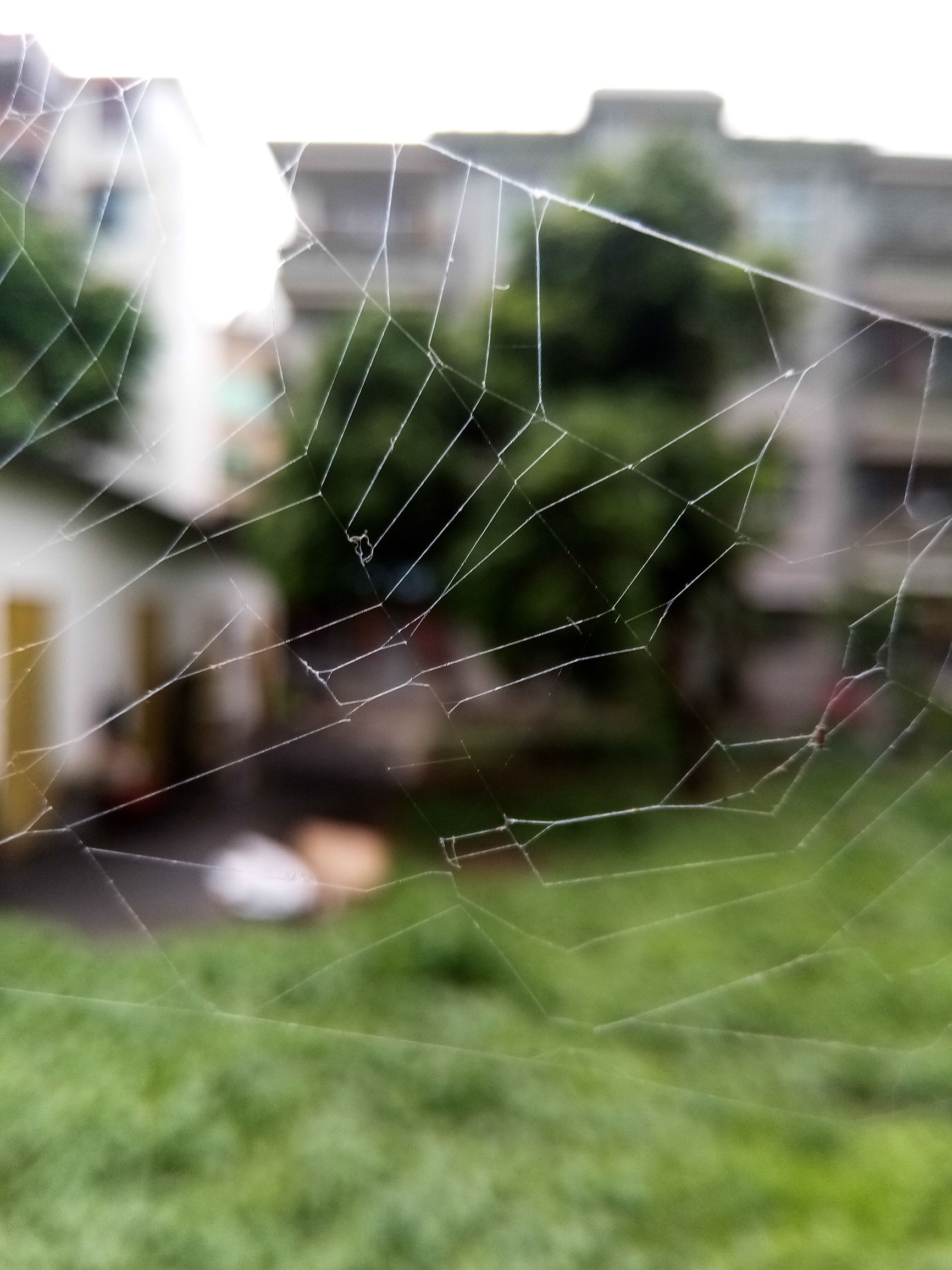 金立s6pro价格,金立s6pro全网通价格