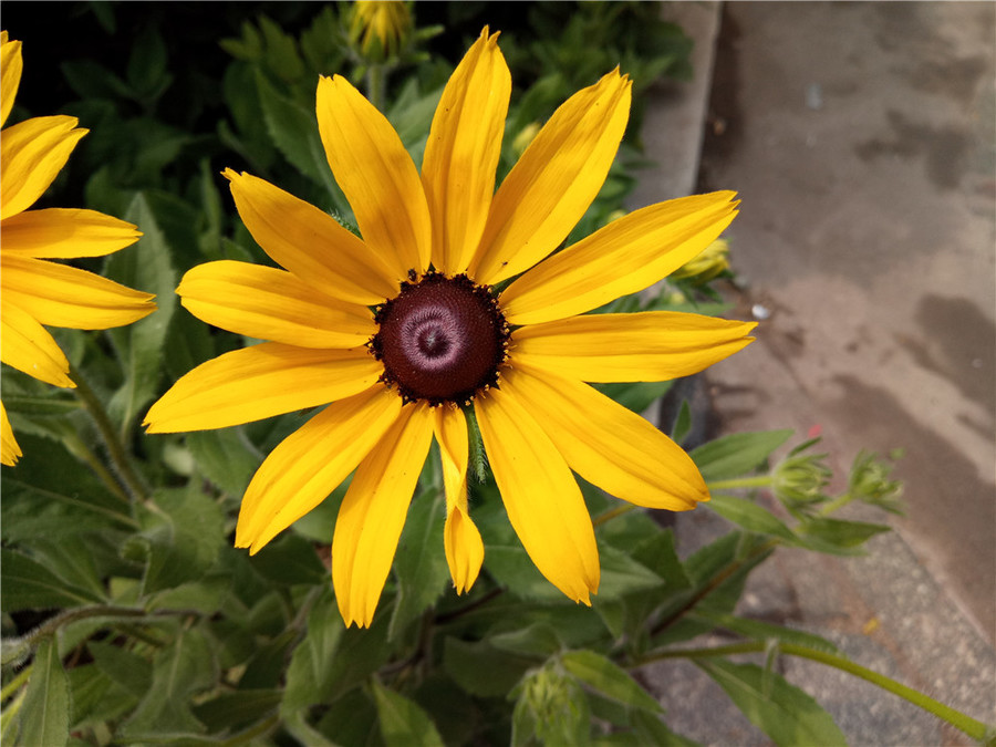 360n4手机怎么样,360手机n4和360手机n4s有什么区别