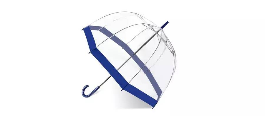 英国女王彩虹伞伊丽莎白二世,英国女王雨伞