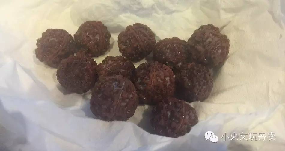 逗逼|大宝和金刚不能说的秘密！