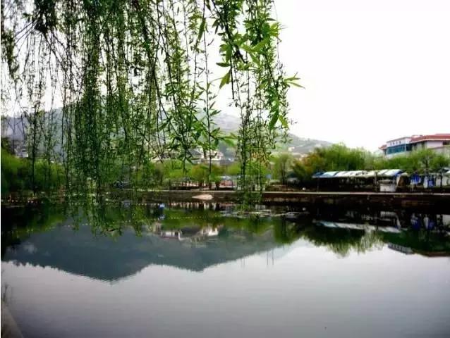 一封来自90后的辞职信,一封来自网友辞职信