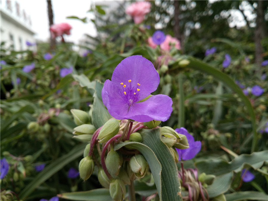 360n4手机怎么样,360手机n4和360手机n4s有什么区别