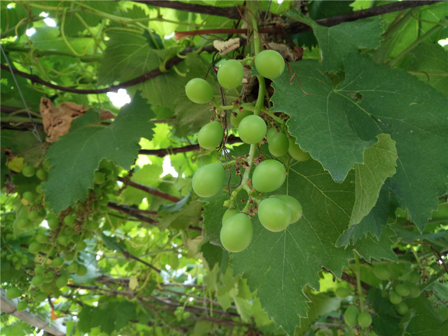 360n4手机怎么样,360手机n4和360手机n4s有什么区别