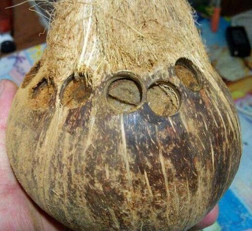 海南的椰子壳怎么做手串,什么样的椰壳能做手串