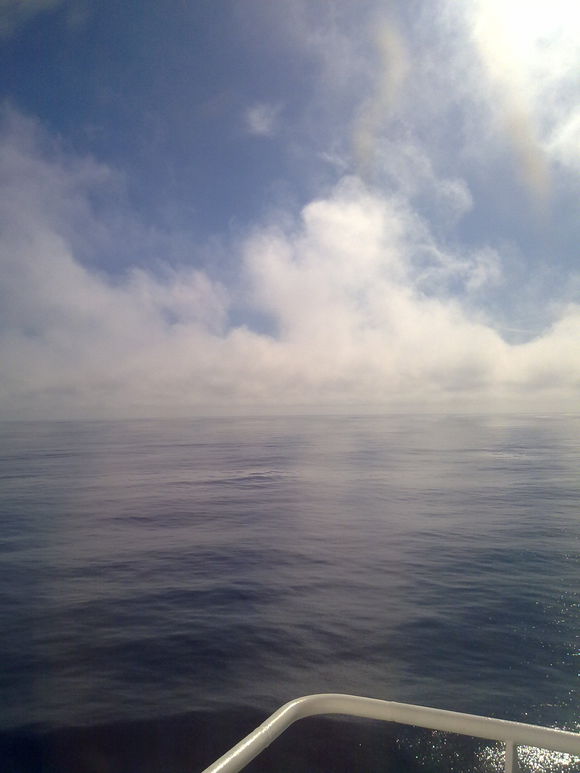 我是远洋渔民，爱钓鱼，更爱周游世界