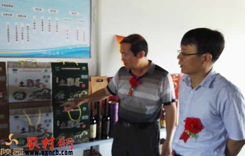 惠农网农产品电商运作,惠农网电商平台