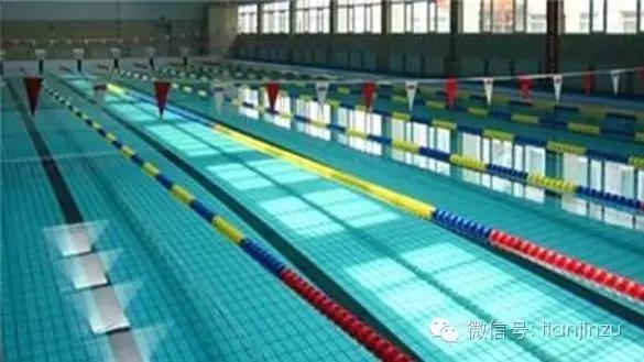 天津100平米恒温游泳池,天津亲子游泳馆推荐