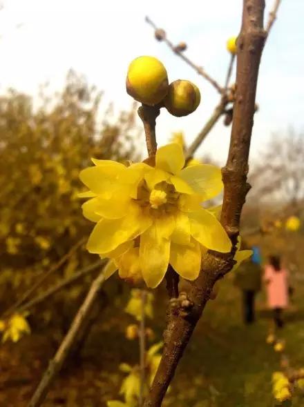 是谁说大湖北*片A**少，这11个绝对够你看！