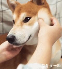 想必手感一定很赞！