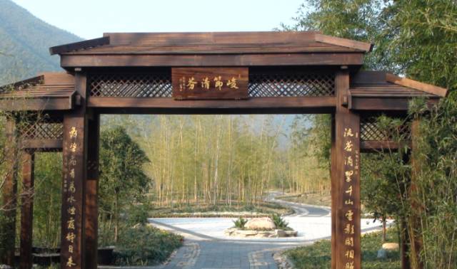 王府竹海神奇植物,蜀林竹海四季代表植物