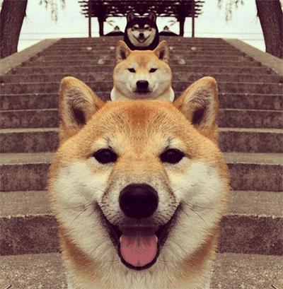 漫改游戏哪个最告捷,做得好的漫改游戏