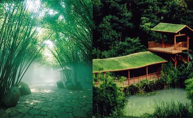 迪士尼一家三口自助游攻略,迪士尼幼儿园旅游攻略