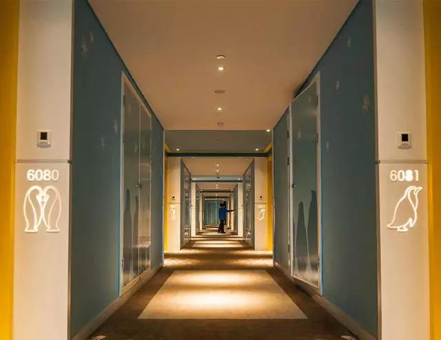 迪士尼一家三口自助游攻略,迪士尼幼儿园旅游攻略