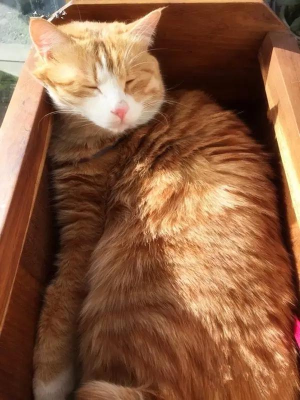 京城那些萌哒哒的地方，即使去千遍也不厌倦