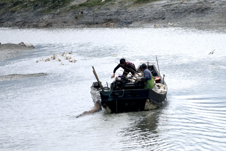 云霄海鲜美食节，干塘激情上演“浑水摸鱼”，女人免费摸