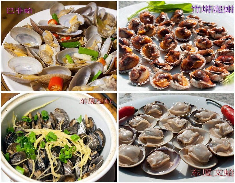 云霄海鲜美食节，干塘激情上演“浑水摸鱼”，女人免费摸