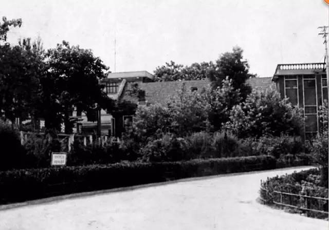 淄博师专最新视频,老淄博师专在张店哪里