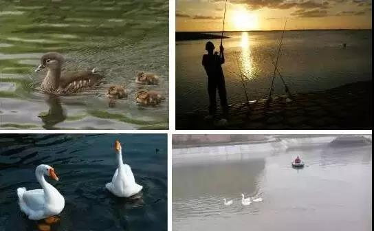 好吃又好玩，郑州5家特色农场带你过五一！