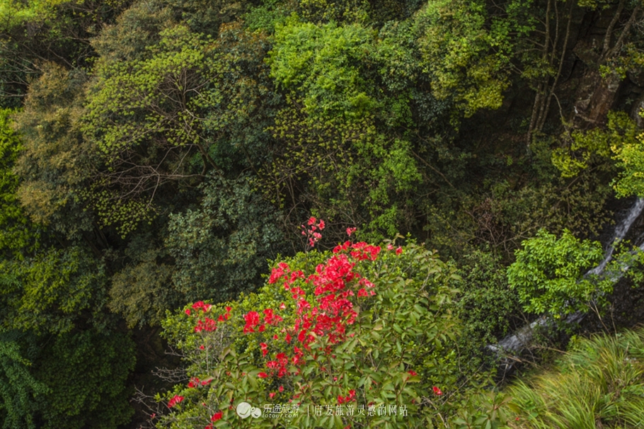 云顶景区瀑布,云顶山峡谷七彩瀑布