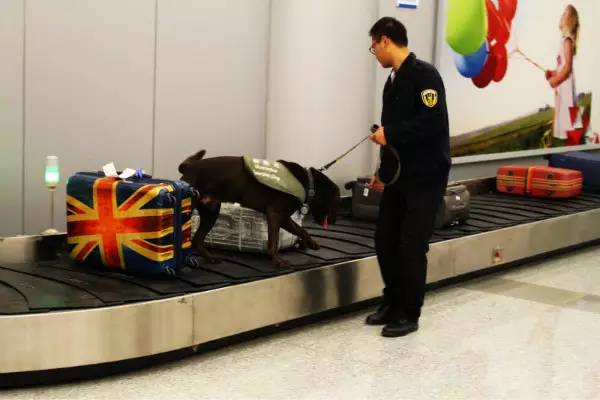 粽子邮寄需要冰冻吗,粽子邮寄怎么保持新鲜