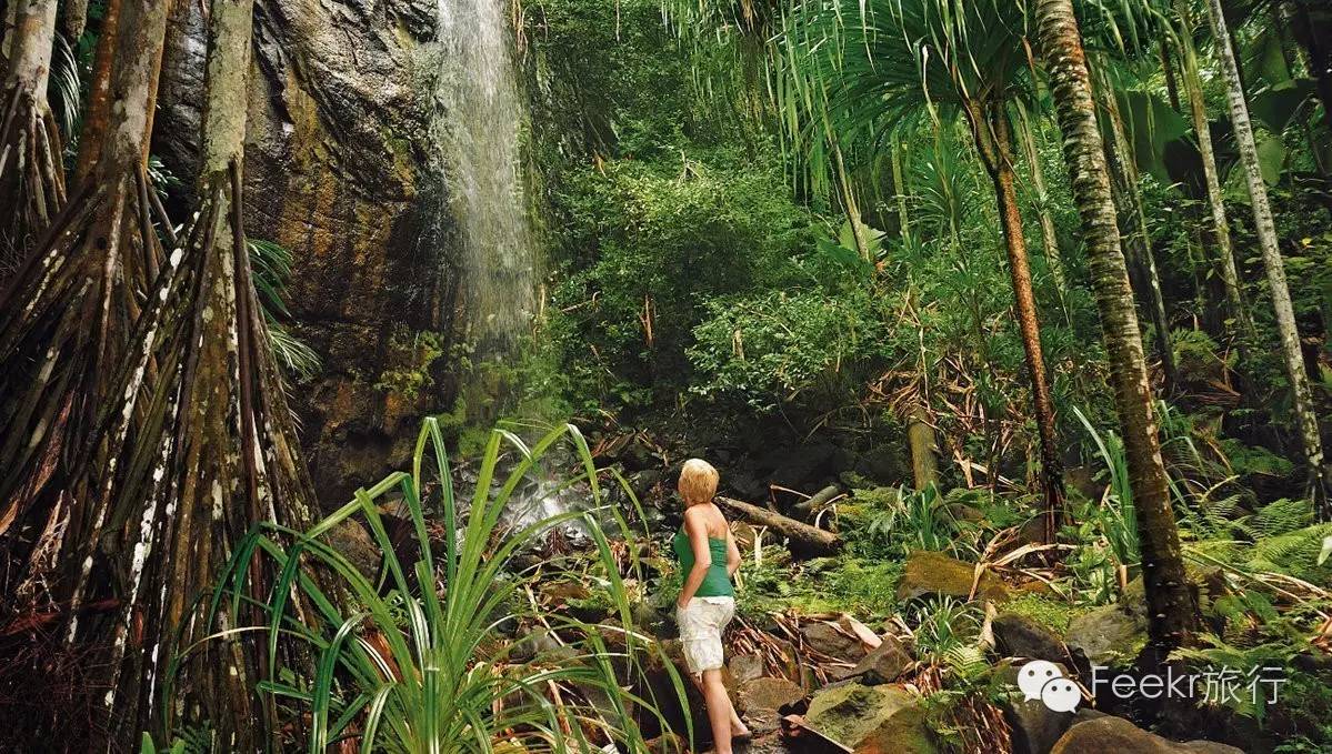 世界十大海岛最美海滩,全球最美十大海岛粉色海滩